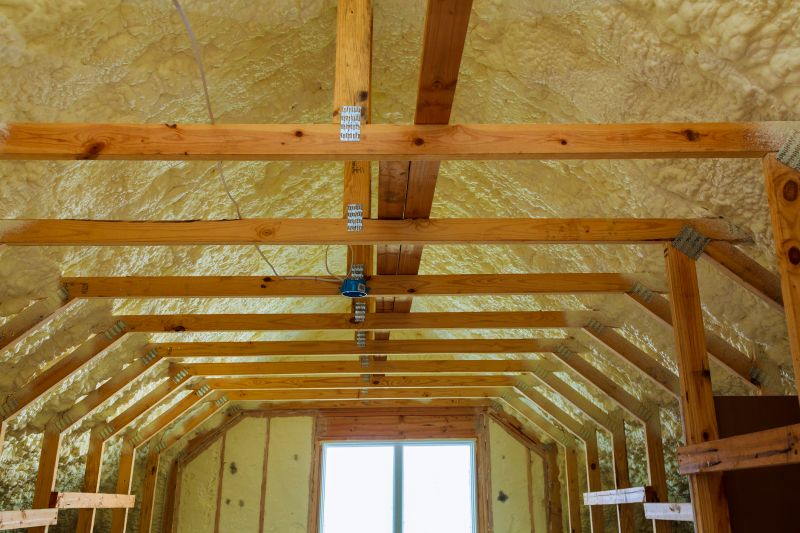 Building Insulation Service in Boulder, CO